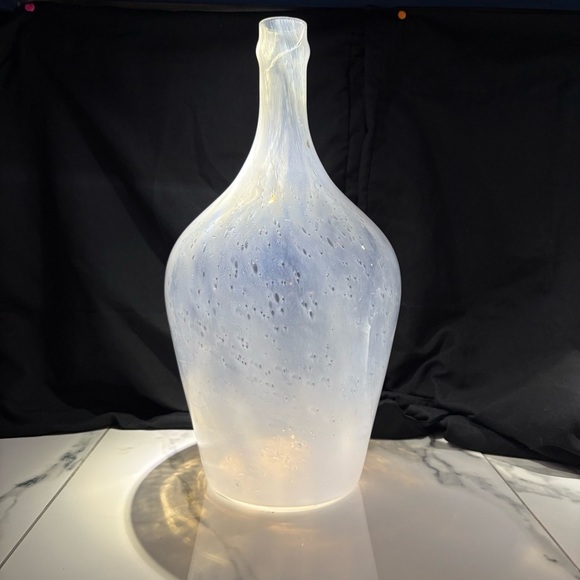 Elegant Frosted Glass Vase - Picture 3 of 4